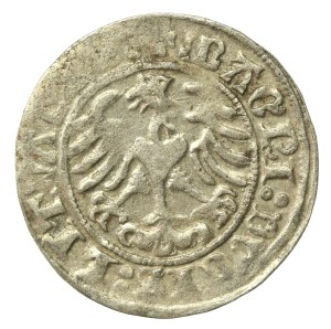 Sigismund I the Old, Half-penny 1510, Vilnius (622)