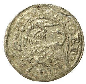 Alexander Jagiellonian, Half-penny, Vilnius-Gothic (624)