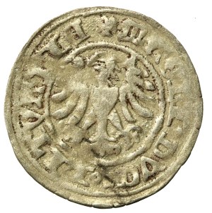 Alexander Jagiellonian, Half-penny, Vilnius-Gothic (624)