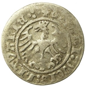Sigismund I the Old, Half-penny 1513, Vilnius. Dot over the Pogon (632)