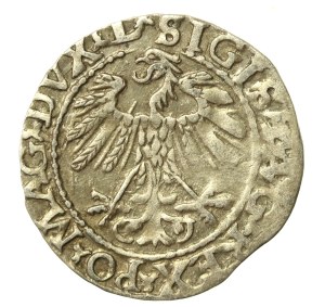 Sigismund II Augustus, Half-penny 1559, Vilnius - L/LITVA (634)