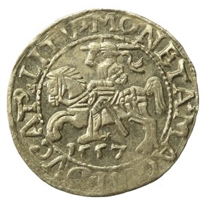 Zygmunt II August, Półgrosz 1557, Wilno. LI/LITV (635)