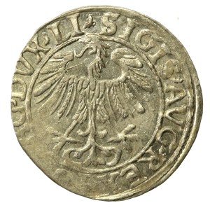 Zygmunt II August, Półgrosz 1557, Wilno. LI/LITV (635)