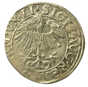 Sigismund II Augustus, Half-penny 1557, Vilnius. LI/LITV (635)