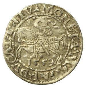 Sigismund II Augustus, Half-penny 1559, Vilnius - LI/LITV (636)