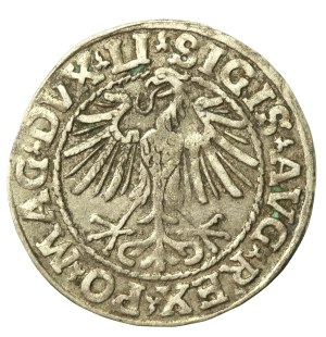 Sigismund II Augustus, Half-penny 1548, Vilnius - L/LITVA. Arabic numeral 1 (637)