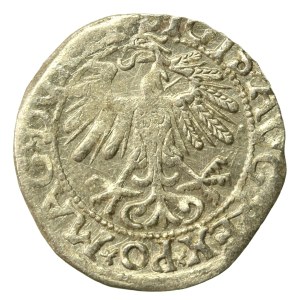 Zygmunt II August, Półgrosz 1558, Wilno - LI/LITV (638)