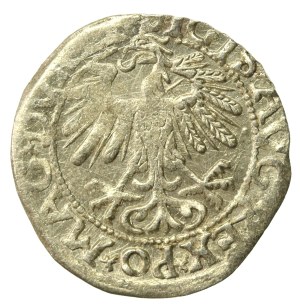 Sigismund II Augustus, Half-penny 1558, Vilnius - LI/LITV (638)