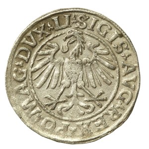 Zygmunt II August, Półgrosz 1547, Wilno - LI/LITVA (639)