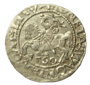 Sigismund II Augustus, Half-penny 1560, Vilnius.L/LITV (640)
