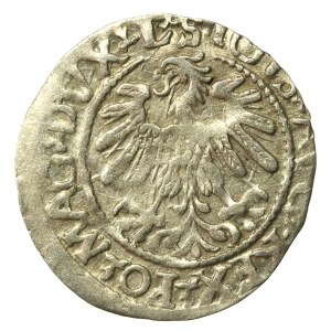 Zygmunt II August, Półgrosz 1560, Wilno.L/LITV (640)