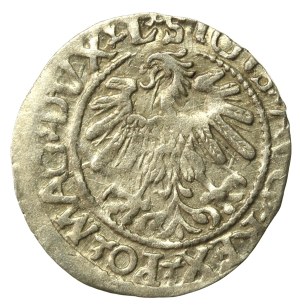 Sigismund II Augustus, Half-penny 1560, Vilnius.L/LITV (640)