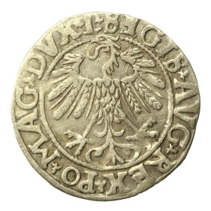 Sigismond II Auguste, demi-penny 1558, Vilnius - LI/LITV (641)