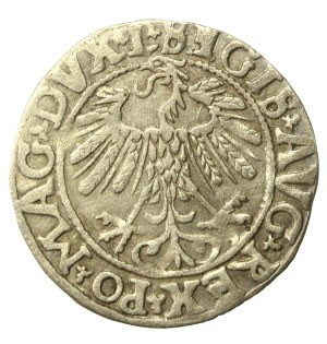Sigismund II Augustus, Half-penny 1558, Vilnius - LI/LITV (641)