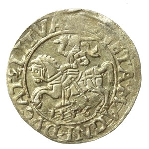 Zygmunt II August, Półgrosz 1556 Wilno, L/LITVA (642)