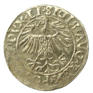 Sigismund II Augustus, Half-penny 1556 Vilnius, L/LITVA (642)