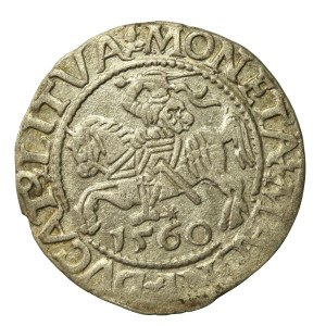 Zygmunt II August, Półgrosz 1560, Wilno.L/LITVA (643)