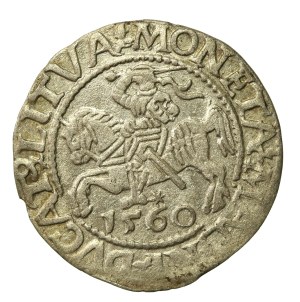 Sigismund II Augustus, Half-penny 1560, Vilnius.L/LITVA (643)
