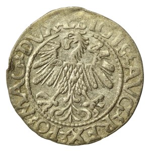 Zygmunt II August, Półgrosz 1560, Wilno.L/LITVA (643)