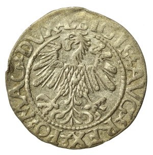 Sigismund II Augustus, Half-penny 1560, Vilnius.L/LITVA (643)