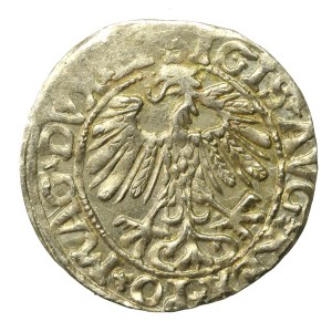 Sigismond II Auguste, demi-penny 1558, Vilnius - LI/LITVA (646)