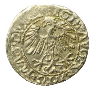 Sigismund II Augustus, Half-penny 1558, Vilnius - LI/LITVA (646)