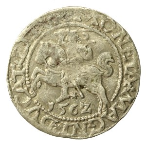 Zygmunt II August, Półgrosz 1562 Wilno, L/LITV. Ogon do góry (647)