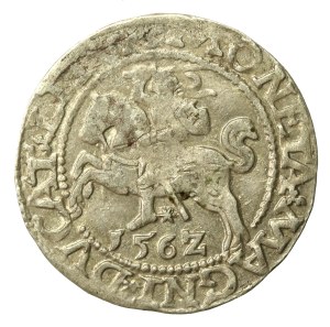 Sigismund II Augustus, Half-penny 1562 Vilnius, L/LITV. Tail up (647)