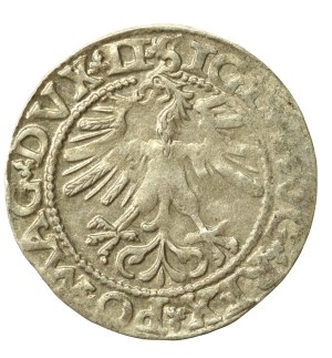 Sigismund II Augustus, Half-penny 1562 Vilnius, L/LITV. Tail up (647)