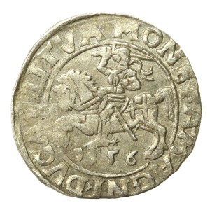 Zygmunt II August, Półgrosz 1556 Wilno, LI/LITVA (648)