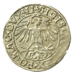 Zygmunt II August, Półgrosz 1550, Wilno, LI / LITVA (649)