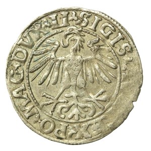 Sigismund II Augustus, Half-penny 1550, Vilnius, LI / LITVA (649)