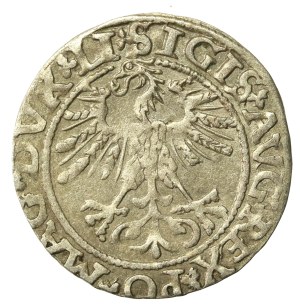 Sigismund II Augustus, Half-penny 1561, Vilnius - L/LITVA (650)