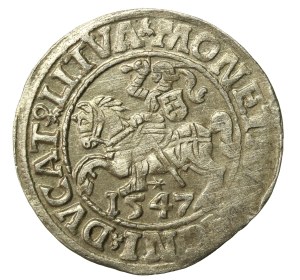Sigismund II Augustus, Half-penny 1547, Vilnius - LI/LITVA (652)