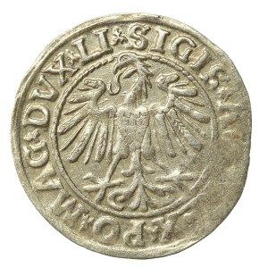 Zygmunt II August, Półgrosz 1547, Wilno - LI/LITVA (652)