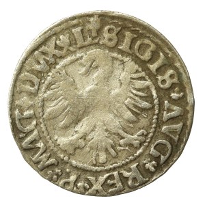 Zygmunt II August, Półgrosz 1546, Wilno - starszy typ Orła (653)