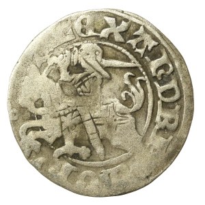 Aleksander Jagiellończyk, Półgrosz, Wilno - gotyk/renesans, rzadki (654)