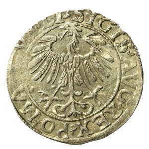 Zygmunt II August, Półgrosz 1557, Wilno. LI/LITVA (658)