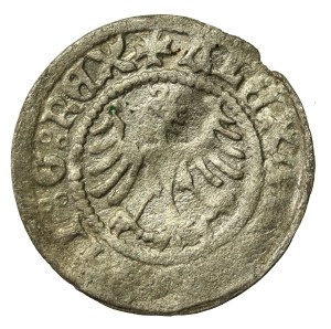 Alexander Jagiellon, Crown half-penny, Cracow (661)
