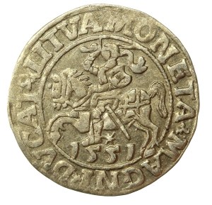 Sigismund II Augustus, Half-penny 1551, Vilnius - LI/LITVA (662)