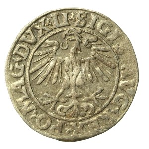 Zygmunt II August, Półgrosz 1551, Wilno - LI/LITVA (662)