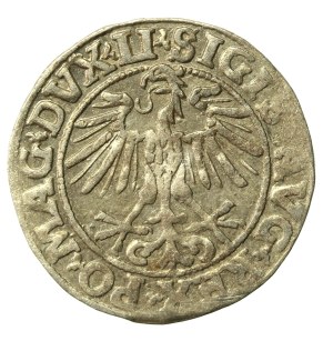 Sigismund II Augustus, Half-penny 1551, Vilnius - LI/LITVA (662)