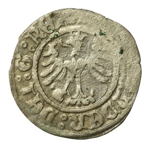 Aleksander Jagiellończyk, Półgrosz koronny, Kraków (664)