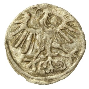 Zygmunt II August, Denar 1556, Wilno (666)
