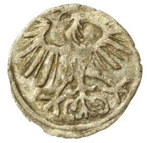 Sigismund II Augustus, Denarius 1556, Vilnius (666)