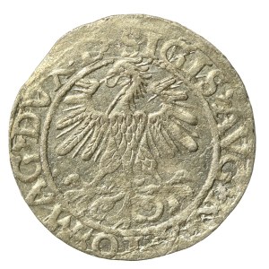 Zygmunt II August, Półgrosz 1560, Wilno - LI/LITV. A bez belki (668)