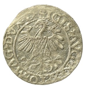 Sigismund II Augustus, Half-penny 1560, Vilnius - LI/LITV. A without a bar (668)