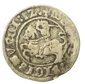 Sigismund I the Old, Half-penny 1512, Vilnius - reversed D (670)