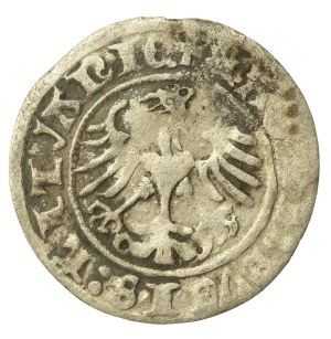 Sigismund I the Old, Half-penny 1512, Vilnius - reversed D (670)