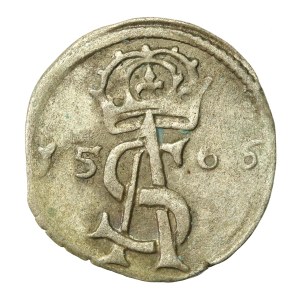 Zygmunt II August, Dwudenar 1566, Wilno (672)